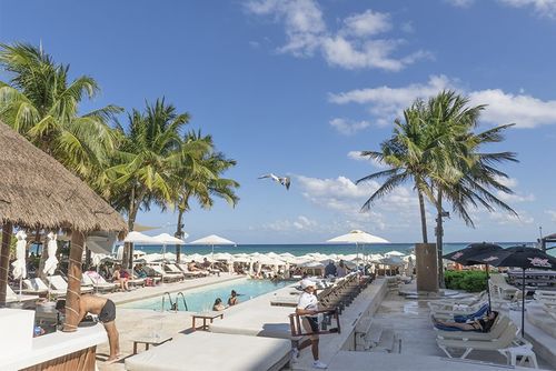 Private Ride to Playa del Carmen 5th Ave